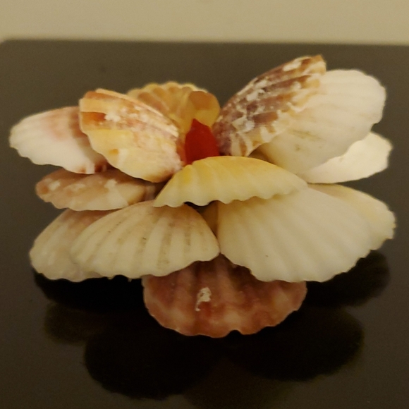Home decor shell flower - Picture 6 of 6